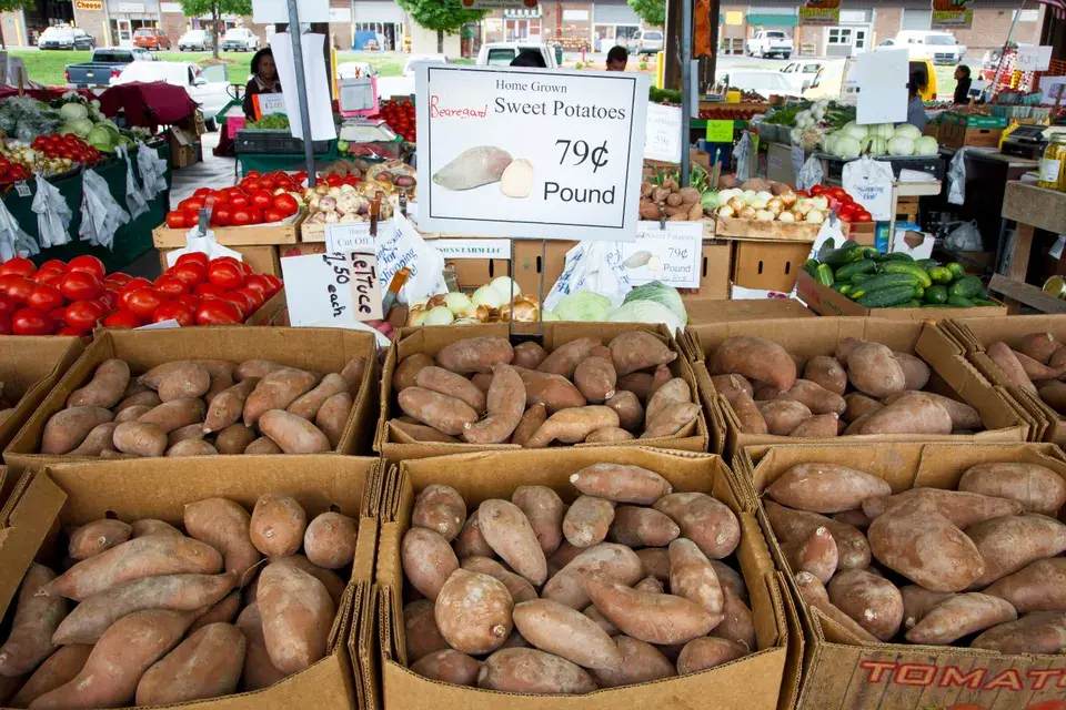 Local Landmarks and Attractions in Brenham, TX in Brenham